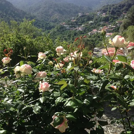 Hébergement de vacances Galaria House *