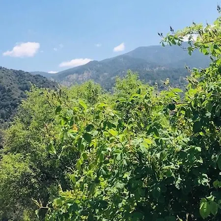 Galaria House Holiday home