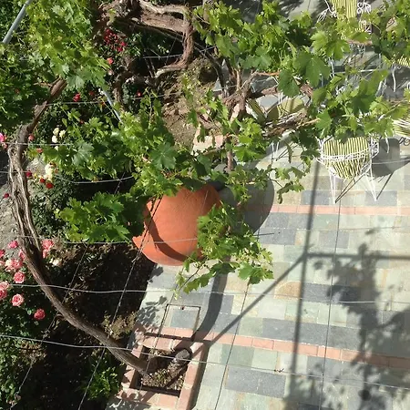 Prázdninový dům Galaria House