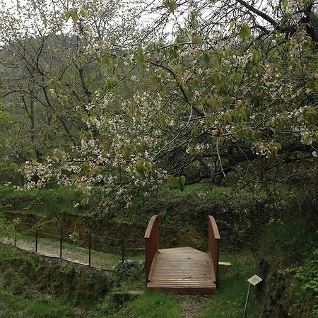 Galaria House * Moutoullas