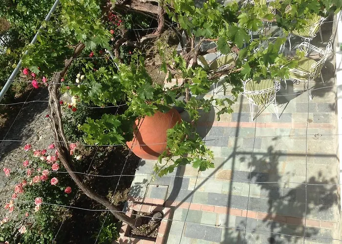 בית נופש Galaria House