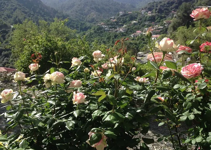 בית נופש Galaria House *