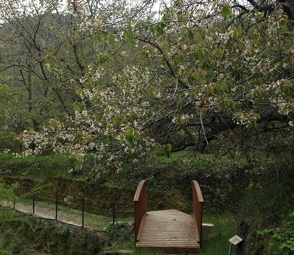 Galaria House * Μουτουλλάς